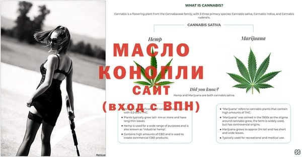 соль ск Белокуриха