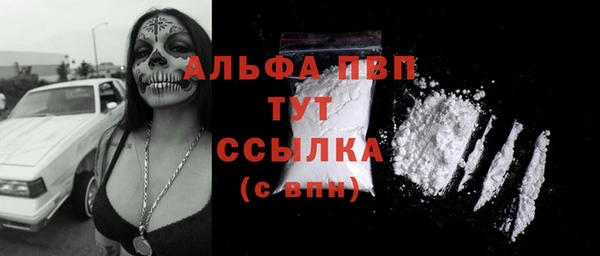 соль ск Белокуриха